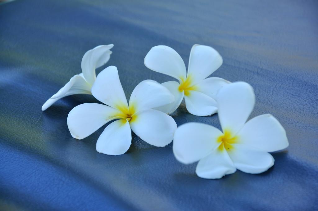 Shangri-lanka