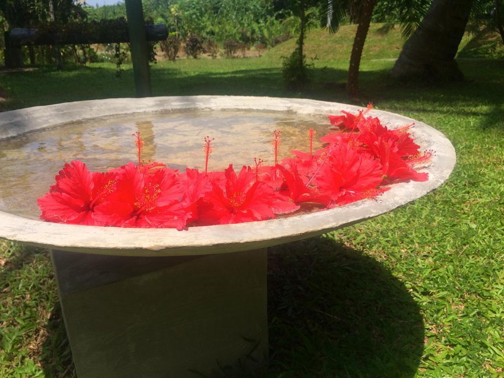 Guest house Shangri-lanka